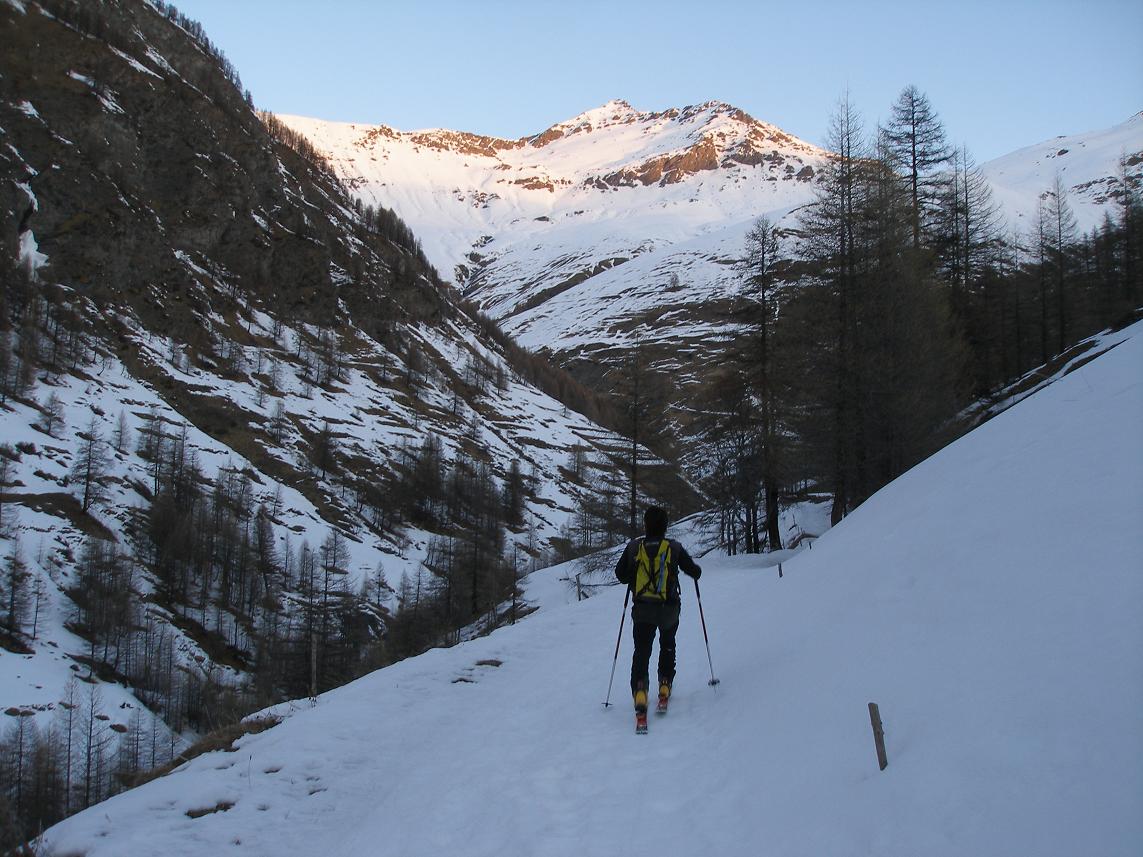 aperçu de l'enneigement : il faut vraiment qu'il en tombe!