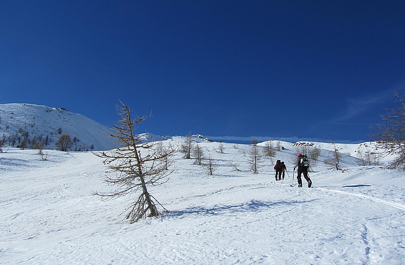 Tête de Cristel : Tout en haut le sommet