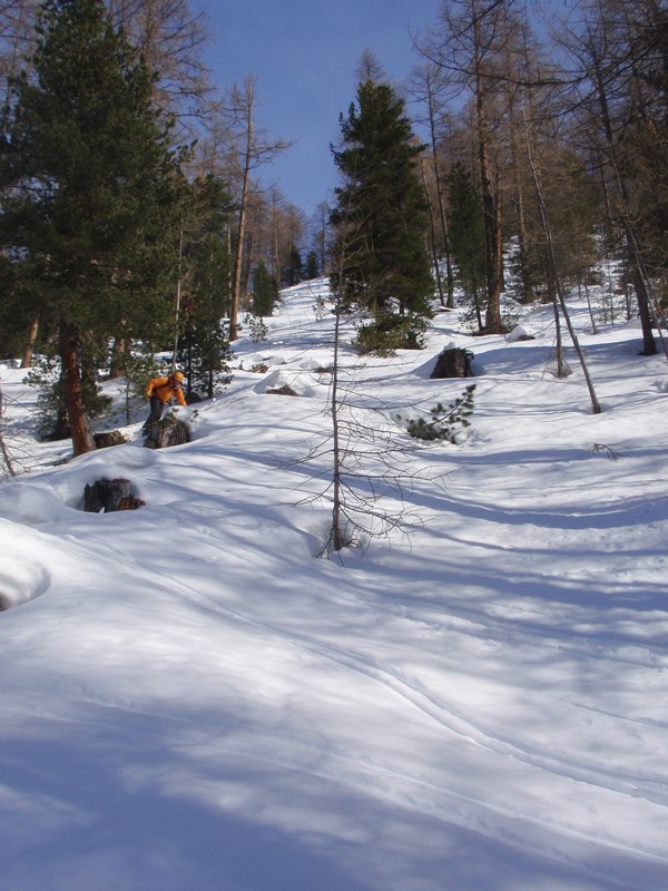 Dans le bois du Rondet : la neige est plus lourde; pour Claude ça paraît facile!