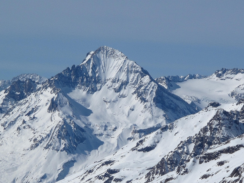 Dent Parachée... : ..et voila la Reine...