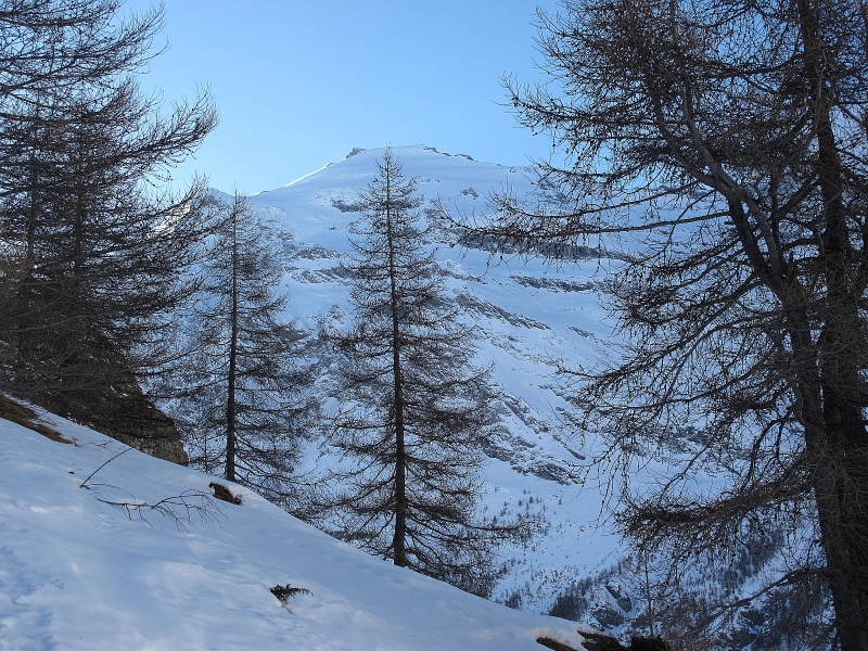 Le seigneur des Lieux : ...Le Charbonnel...