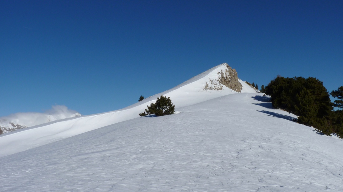 Sortie sur la crête : Un rien pour garnir une photo : un petit peu de neige quelques arbres et des rochers