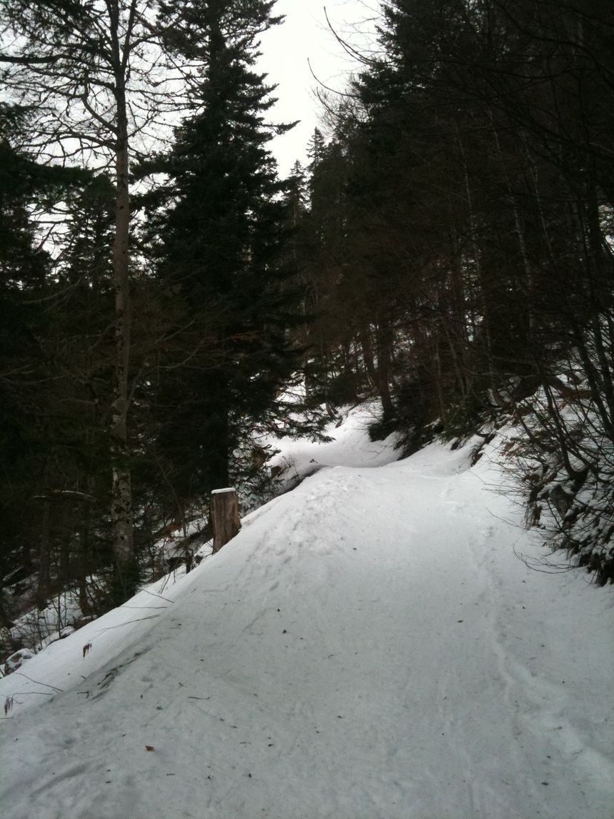 Sur le chemin forestier : C'est blanc mais ya pas épais