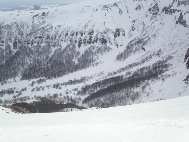 vallée le 20 03 2006 : aprés les avalanches, la forêt de Chaudefour a morflé