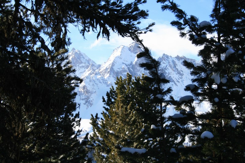 Dans le bois de Jalavez : Pic des Heuvières au centre