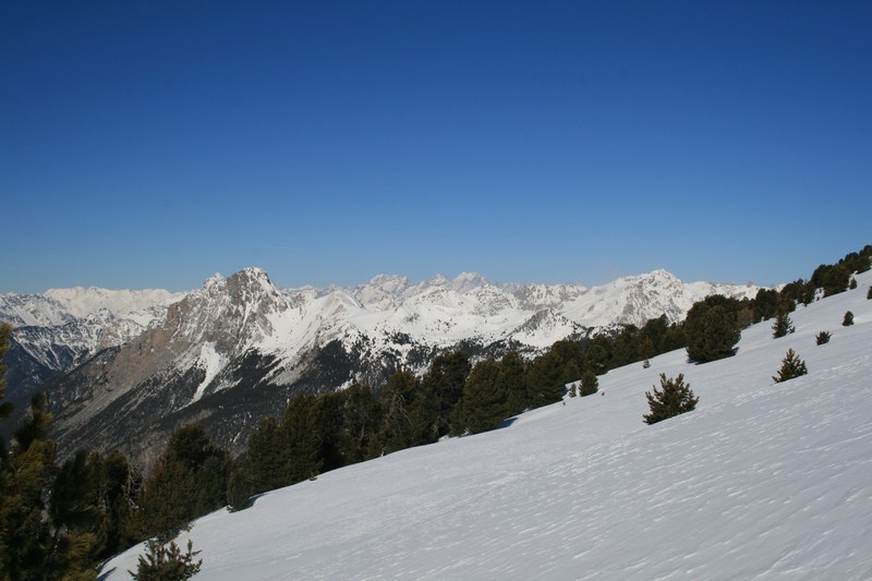 Au sortir du bois : Pic d'Assan devant et les Ecrins au fond.