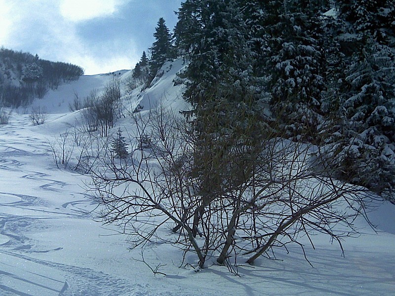***** : Très bon ski aujourd'hui