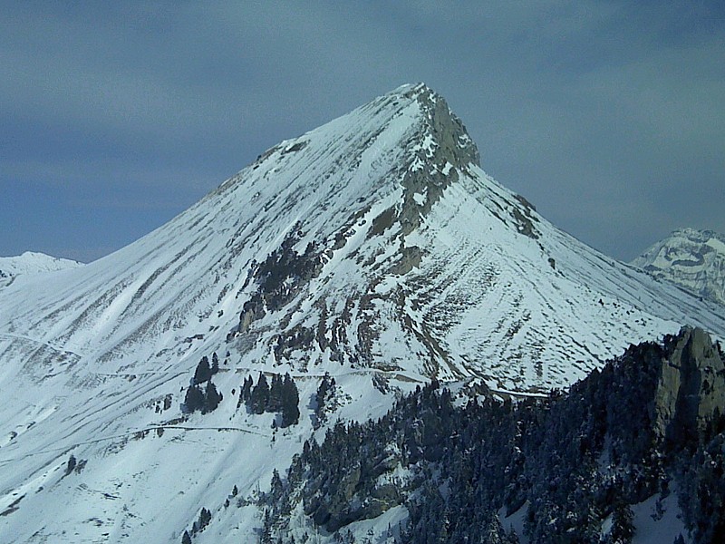 Face Ouest du Colombier : Paysage en montant : étendue des dégats