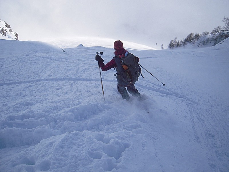 #7 Descente Nord est p le teste : poudre Descente Nord est p le teste : poudre