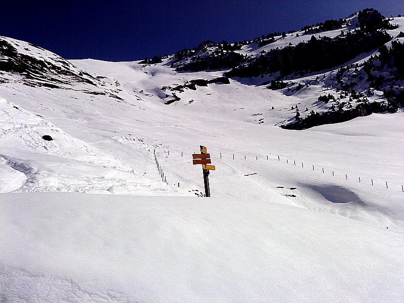 Lance de Malissard : vallon de Bellefond