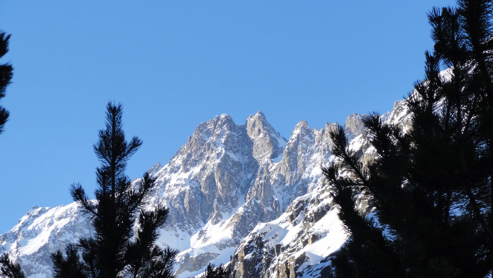 col N de clot chatel : ________