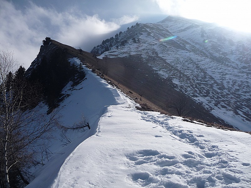 à l'épaule 1650 m : l'arète que je vais suivre jusqu'au sommet