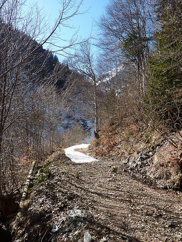 Route forestière : Etat