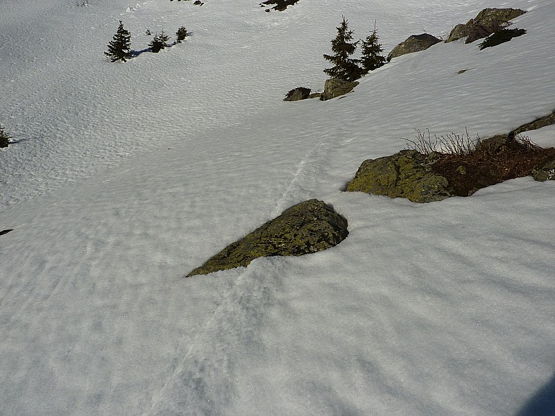 Une trace ancienne : Elle permettra de monter bien à plat.
Petite observation du jour : elle n'existe plus dans les zones de conversions moins tassées par le passage