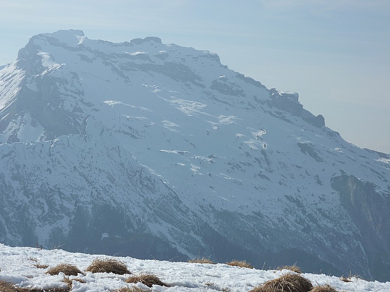 depuis le sommet : vue sur la Tournette