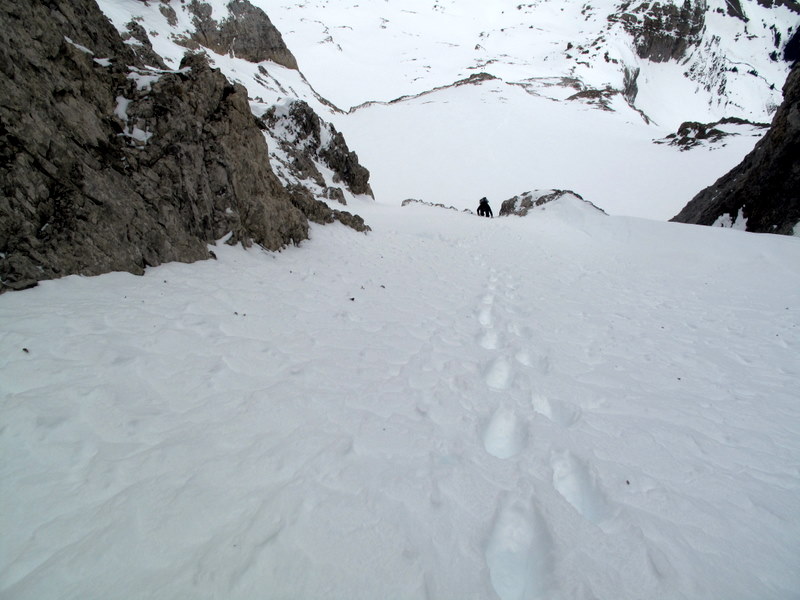 Face Nord Ouest : La partie inf. du couloir neige parfaite