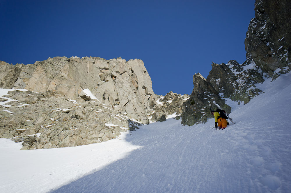Chech au-dessus du coude : Ca sort pas, les très bonnes années peut-être?