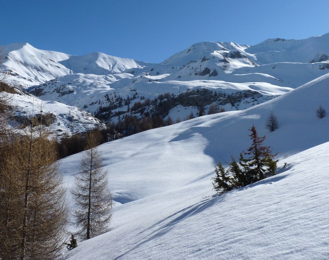 Sortie du bois : Entrée de la prairie du Lautaret