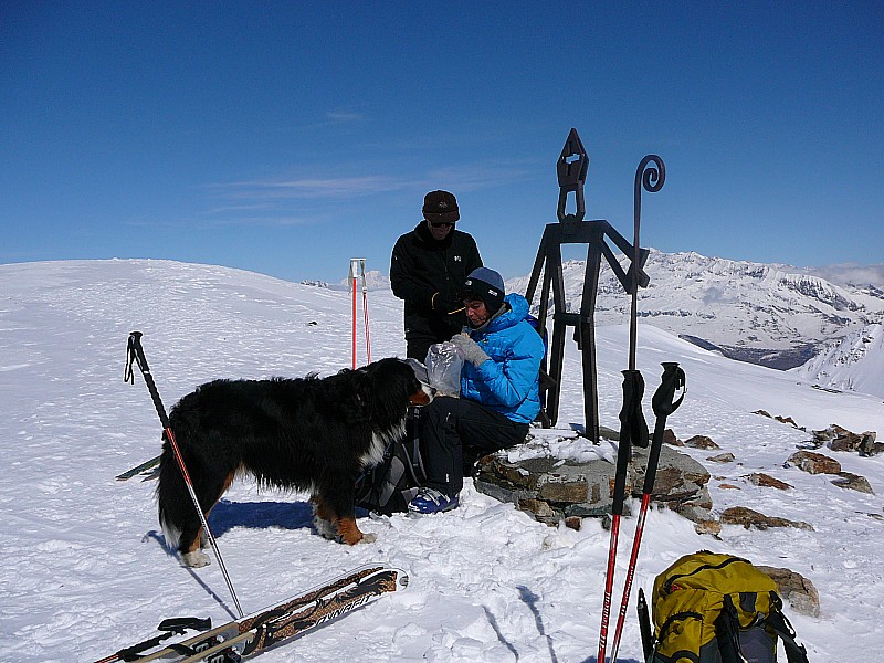 Le Taillefer : Patou, manger des croquettes de Viso ça n'a pas de bon sens, m'a dit Charlie...