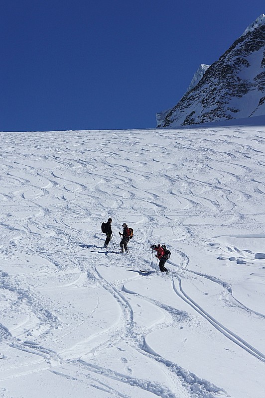 Descente du glacier Pièce : La poudreuse sur le glacier de Pièce, la récompense.