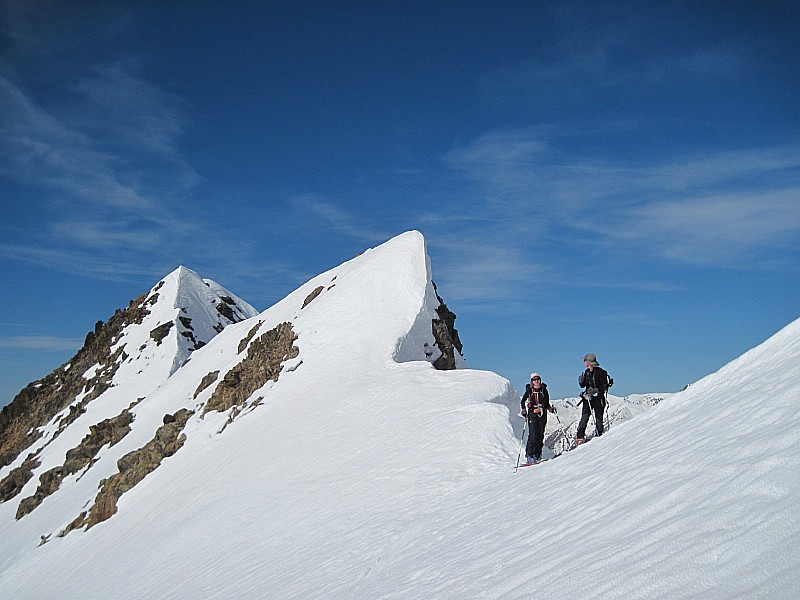 trecolpas