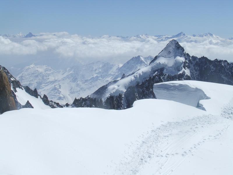 Couloir Barbey : Du sommet, le Dolent