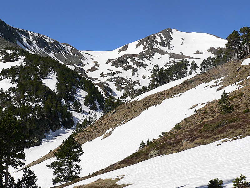 Pic de Morties : encore de la neige