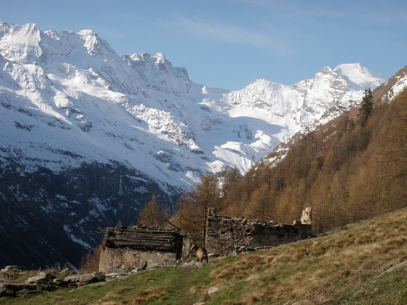 magnifique montée : au refuge V.Sella