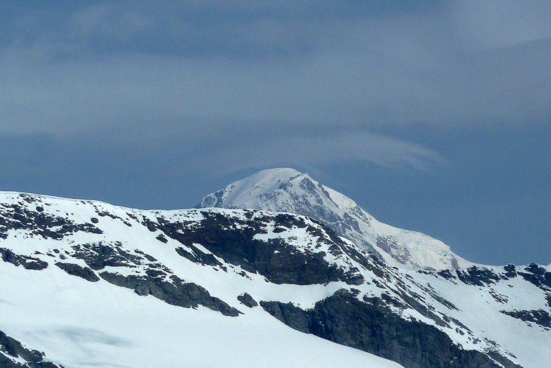 Mt Blanc : Un petit âne sur le Mt Blanc