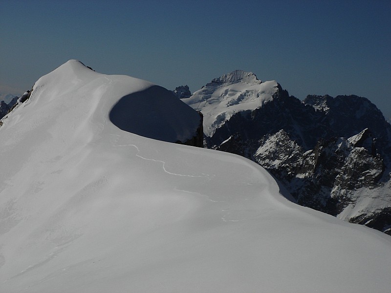 Barre des ecrins : La barre des Ecrins dans toute sa splendeur depuis le sommet...