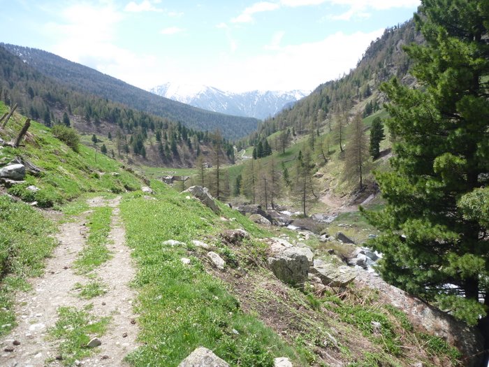 Caprera : 1 kilometre a pied ca use ca use, 1 kilo...