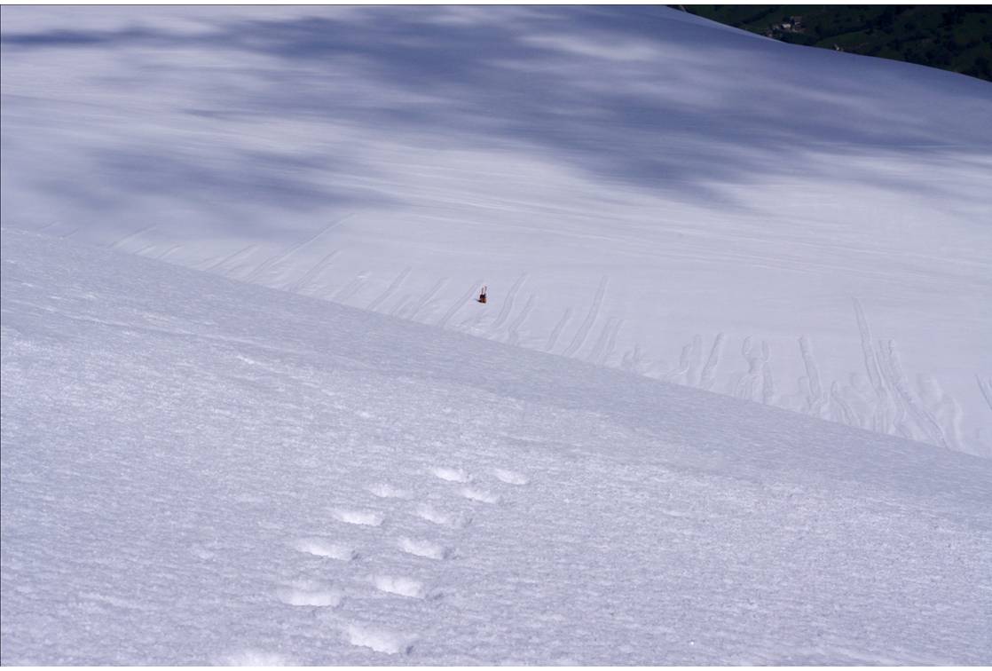 Début de la descente : Je retrouve pour la descente, en désescalade, mes pas de montée. On distingue bien les coulées de grésil descendues de la face, et qui forment des rivières de billes en contrebas... dans lesquelles on enfonce de 20-30 cm.
