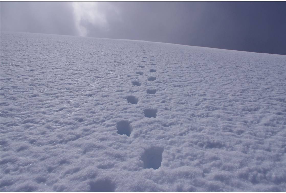 Esthétique de la face : Une trace en crampons, d'un très grand plaisir à réaliser, à la montée et à la descente, dans un 50° bien tassé... mais que l'enneigement compact présente comme un 30°!