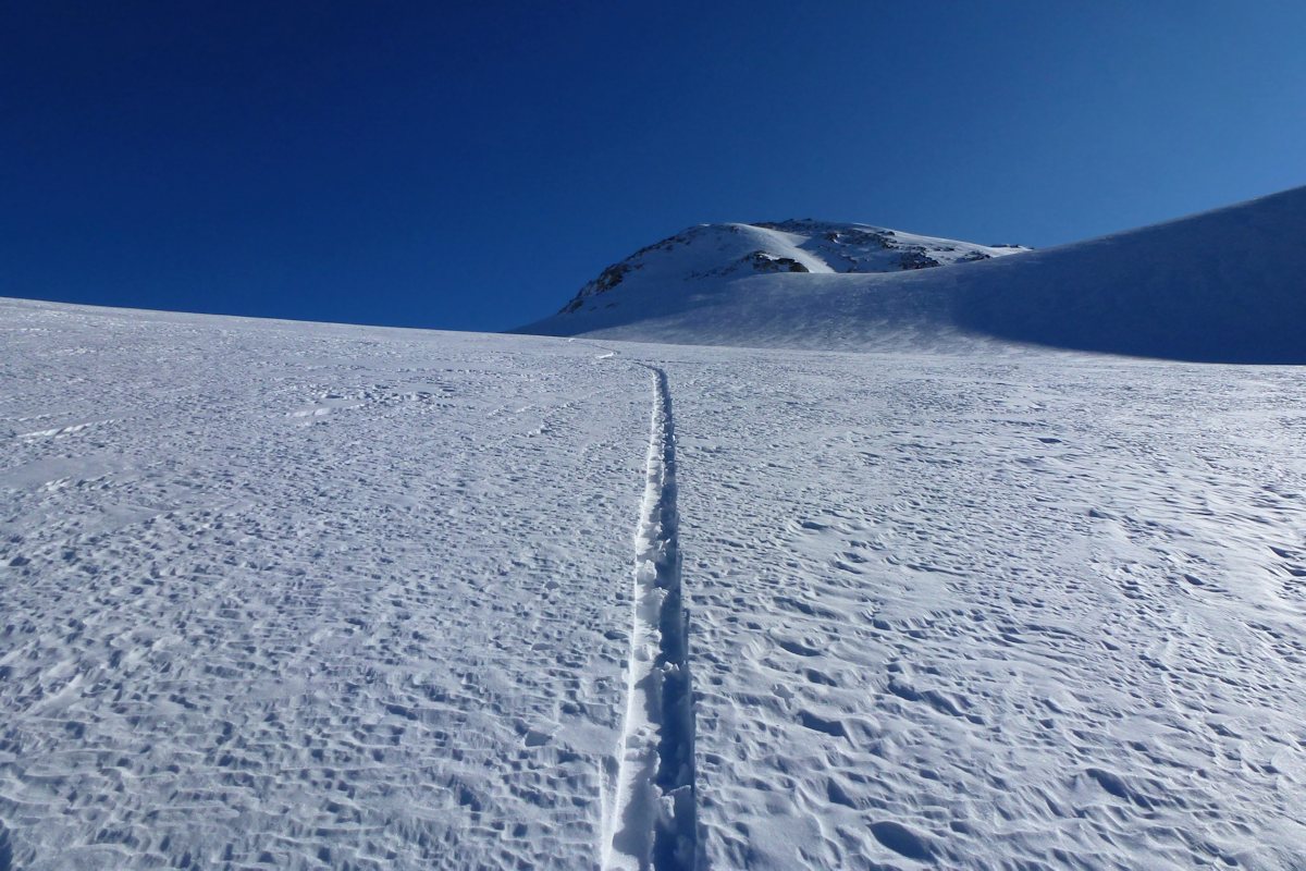#6 Sur le glacier : Un randonneur m Sur le glacier : Un randonneur m'a devancé.