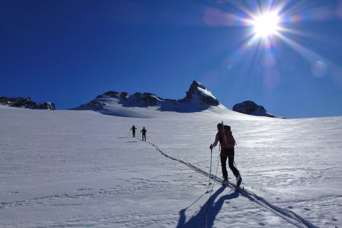 Immensité glaciaire : De superbes paysages.