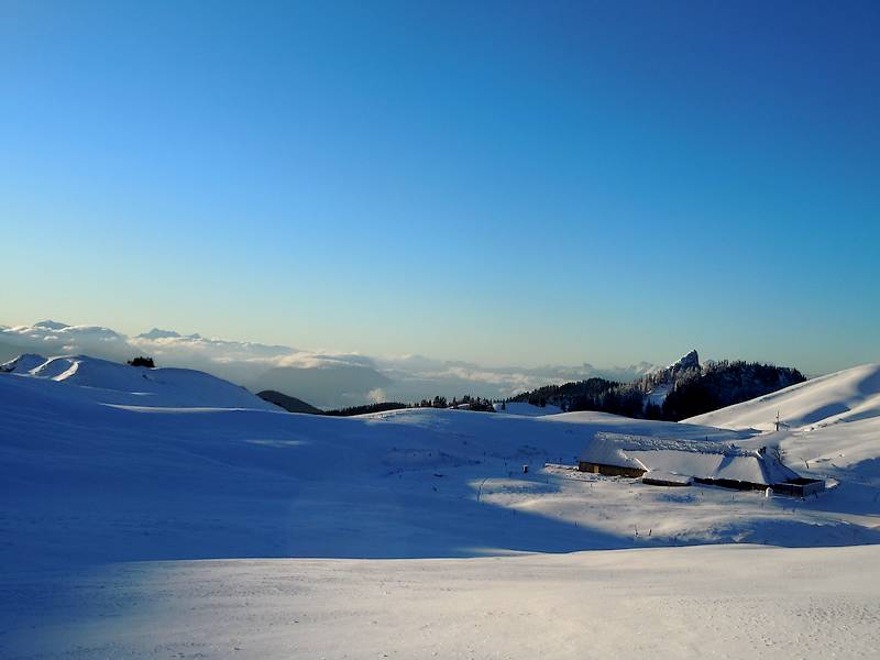 Alpage : vue sur la Pinéa et un bout des Alpes Dauphinoise