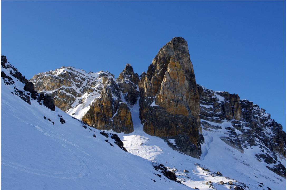 Majesté : Grande et belle allure du Cheval Blanc, majestée de la nature!