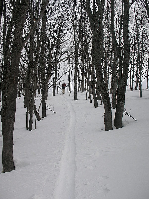 Bois de Mont Derrière : Alex à la sortie du bois !