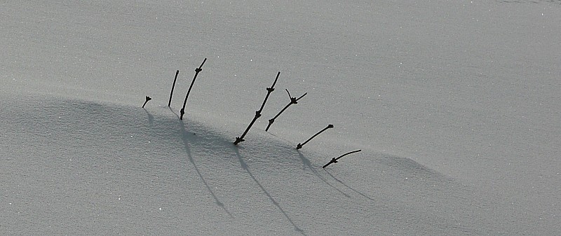 Neige de rêve : Une poudre légère, 5 *