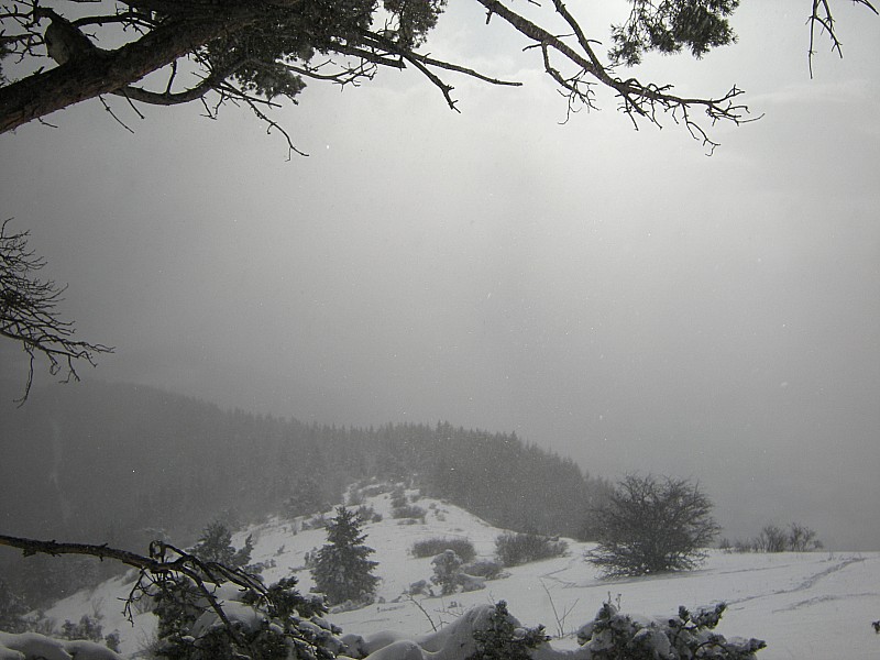 Crete Sud : Sortie des bois, grosse épaisseur de neige.
