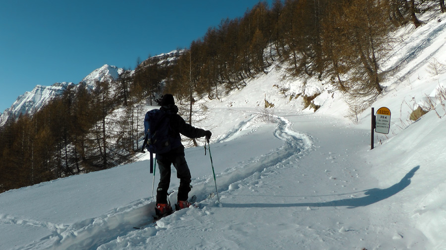 2000m : Domi dépasse les bornes aujourd'hui !
