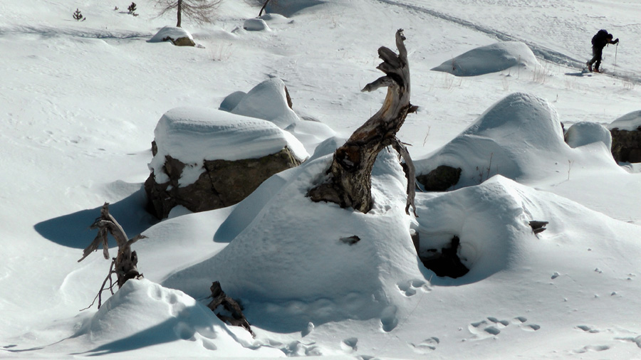 2200m : Composition naturelle