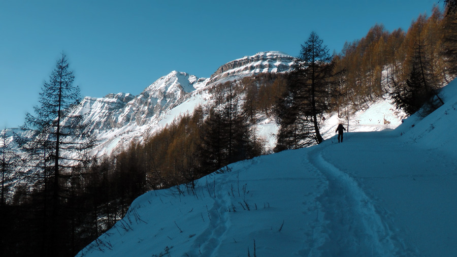 2000m : Montée par la route, mais descente en poudre par la forêt