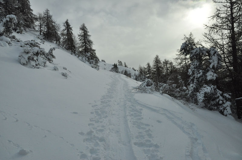 La Platte : Belle ambiance en sortie de forêt.