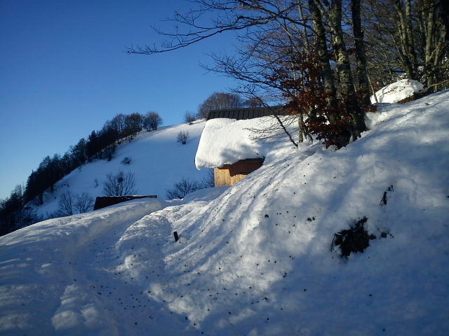 Chargieu : oh le jolie petit chalet .