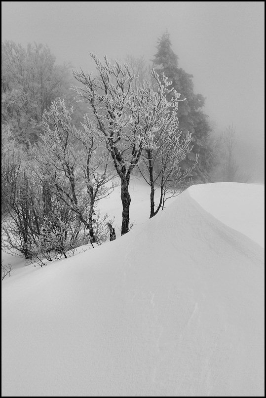congère du sommet : un peu de brouillard mais pas de jour de blanc