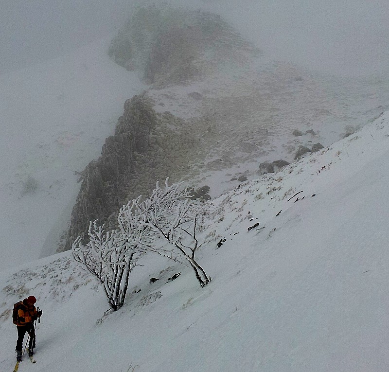 Ambiance : Une lumière qui rend bien compte de l'ambiance de la sortie. En arrière plan tout en haut de la photo (pour ceux qui ont de bons yeux) 3ème groupe de chamois.