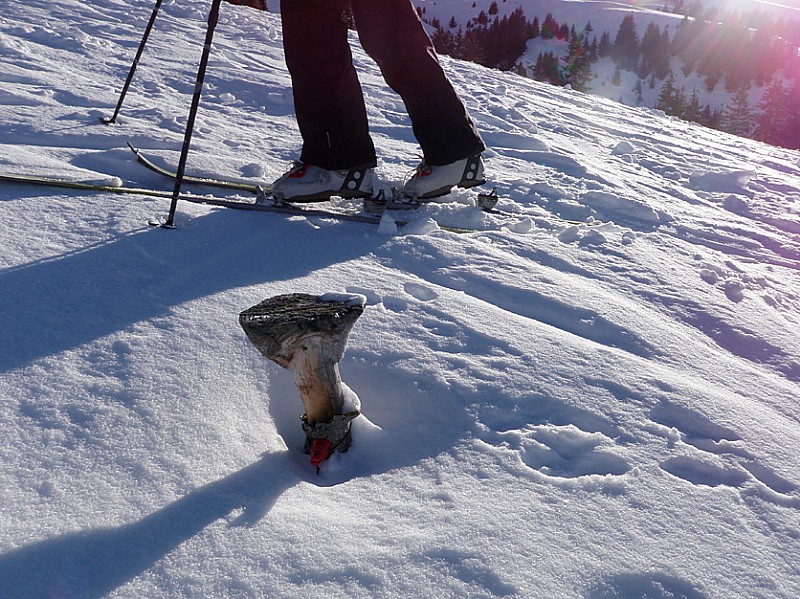 balisage des crevasses : champignon nivologique