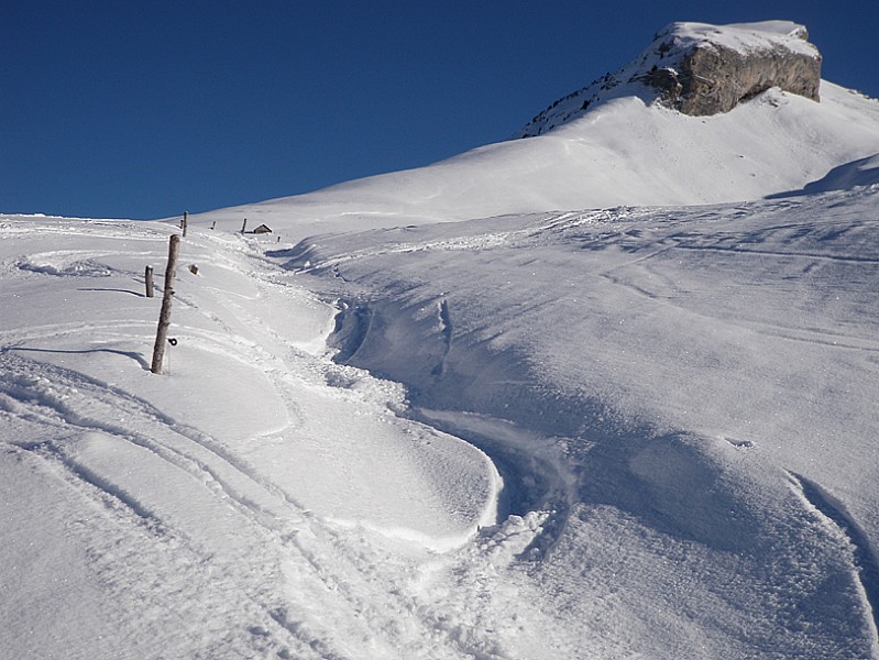 bonne neige fraiche : half pipe