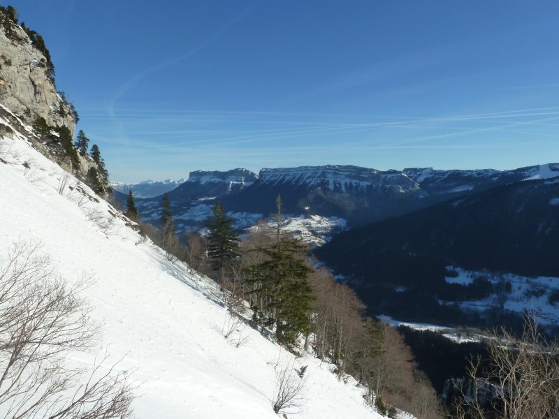 Charteuse N : prochain objectif?